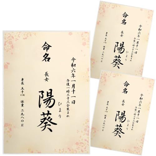  畿  Ƃ̑ccɂ I[_[  j̎qp ̎qp A4 ~l[g N o  AogȄd ڏȗ (3)