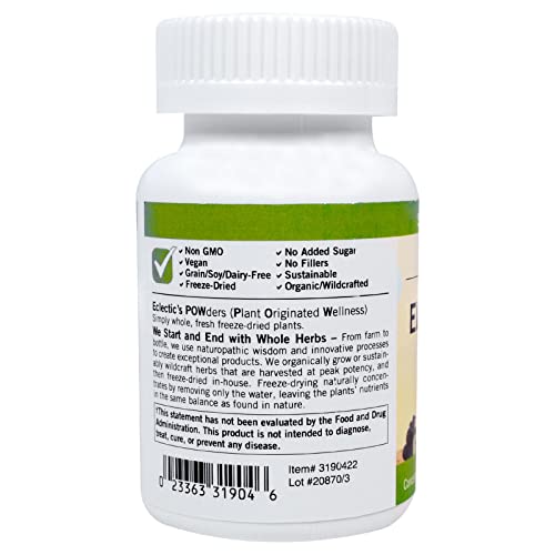 Eclectic Institute Elderberry Immune Fd 90 #TOP2