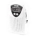 Produktbild ELBE 50 RF-Radio (tragbar)