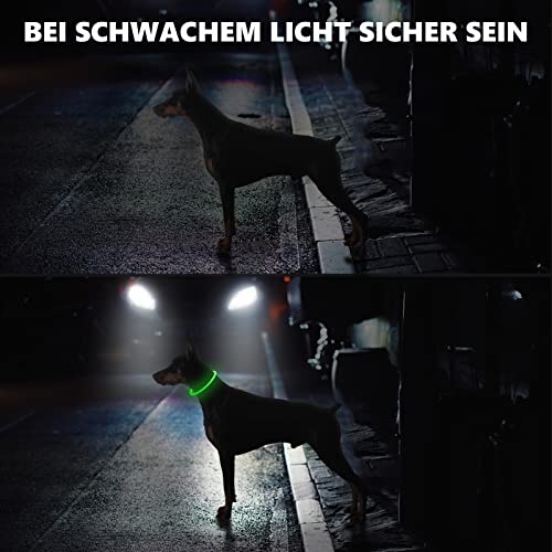 SerDa-Run Leuchthalsband Hund, LED Halsband für Hunde, Einstellbare Größe, DREI Lichtmodi, Sicherheit für Ihren Hund in der Nacht