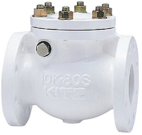 Amazon.co.jp: キッツ 鋳鉄製ナイロンライニングJIS規格10Kスイング 