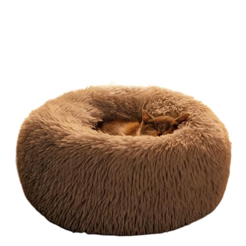 ybgp~pgLpxbhA̓~ppxbhA[AӂӂA_炩AʋCAKň炵 (L,B)