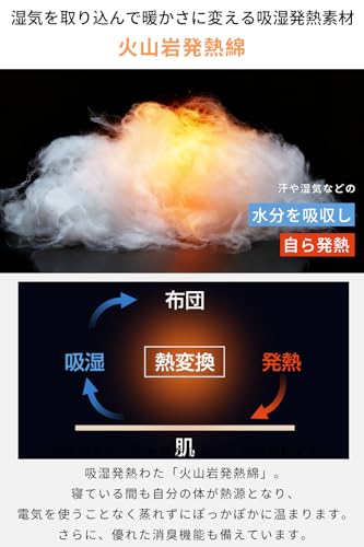 AOYANEI 冬用 かけ布団 LG-01 の商品画像 4