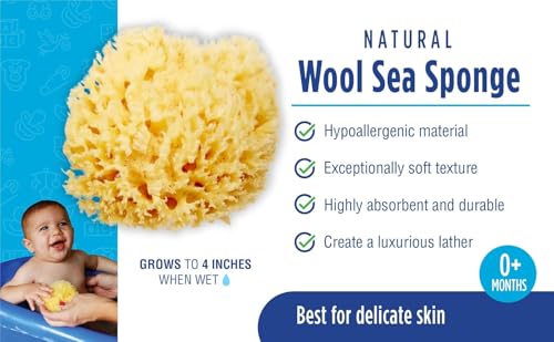 Baby Buddy - Spugna Da Bagno Naturale Per Neonati, Ultra Morbida, Morbida Sulla Pelle Del Bambino, Biodegradabile, Ipoallergenica, Assorbente, Naturale - 7