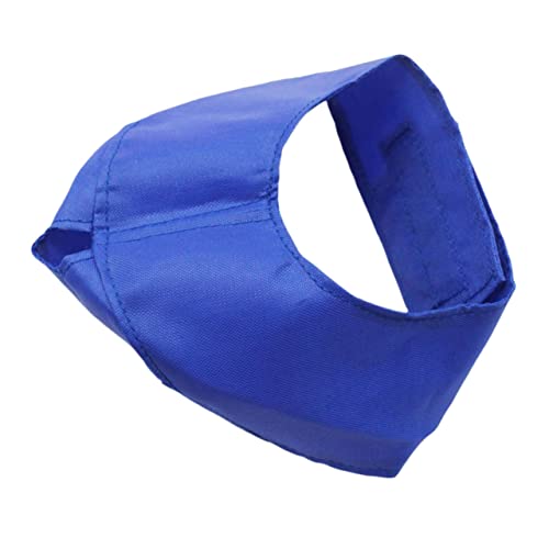 TOBBOMEY L̃AC}XN L݂̊h~ hbgACpb` ̊ރg[jO L̊ pÃL ACJo[  L̖ډB ybgpACpb` ybgpAC}XN Blue