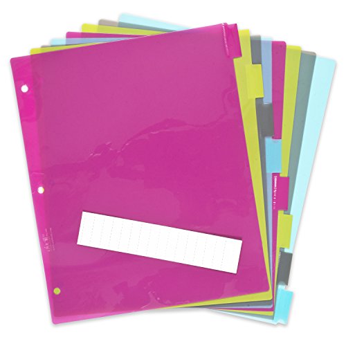 DocIt 8 Tab Insertable Dividers for 3 Ring Binders, 8 Multicolor Plastic Dividers, Write-On Inserts (00788)