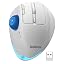 White Mouse