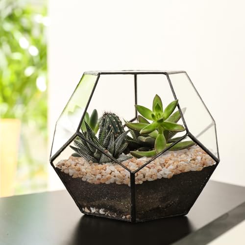 Image of 5 lbs Coarse Sand for Plants, 1 /5 Inch Horticultural Sand for Succulents, Desert Silica Sand for Cactus, Vases, Aquariums, Terrarium, Fish Tank, Drainage Gravel for Potted Plants, Bamboo, Crafts