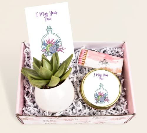 I Miss You Succulent Gift Box