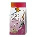 Price comparison product image Beaphar - XtraVital Parrot Bird Food - Complete food with Banana, Papaya, Echinacea, & Egg Food - Rich in Vitamins & Minerals for Optimum Health - 3kg