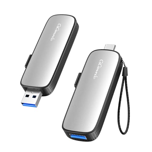 GiGimundo SSD Externo portátil de 2TB, Externo SSD USB Flash Velocidad hasta 1073MB/s, Dual Drive USB3.2 Gen 2+Tipo c, Unidad de Estado sólido para Smartphones PC, Tabletas, Macs, Azul
