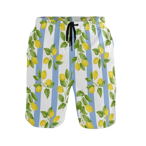 Eionryn Men's Swim Trunks Lemon Leave Blue Striped Beach Shorts Quick Dry Swim Board Shorts Bathing Suits S