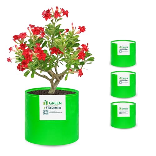 Image of HDPE Grow Bags for Plants 9X9 Inch (Pack of 4) | 260 GSM Heavy Duty UV-Protected Round Green Colour Plant Bags for Terrace and Vegetable Gardening | Strong & Reusable|