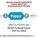 Royal Canin Shih Tzu Puppy 1,5 kg