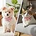 Yuomeaz 2 PCS Bow Cat Collars for Girl Cats, Pink Adjustable Cat Collar Girl Kitten Breakaway Collar with Pendant, Cute Bow Breakaway Female Collars