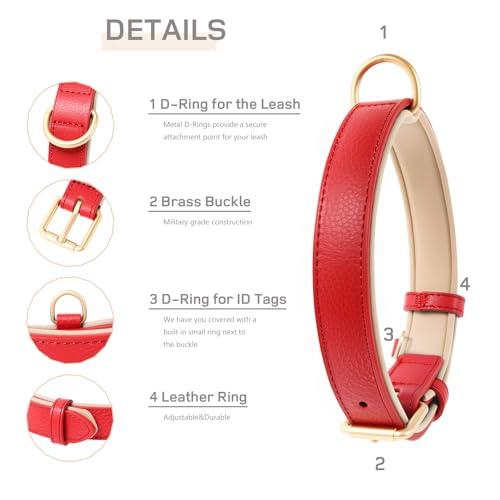 HEELE Hundehalsband, Halsband Leder mit gepolstert und echtes Leder, Verstellbar für Welpen Kleine Mittel Grobe Hunde, Neu-Rot, S