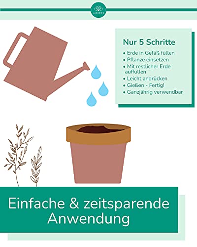 Hochbeeterde Jasker’s 40 Liter – 100% torffreie Bio-Erde für Hochbeete