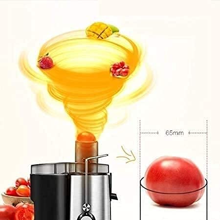 ERoomQ Food Processor Chewing Juicer,Cold Press Juicer,Juice for Fruit and Vegetable,Quiet and Durable Motor,Fully Automatic Function,Easy to Clean