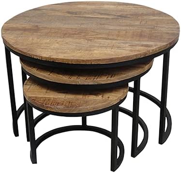 Foyer 3p00024 Fixture, Shop Interior, Flower Stand, Wood, Iron, H 15.7 inches (40 cm), Width 21.7 inches (55 cm)