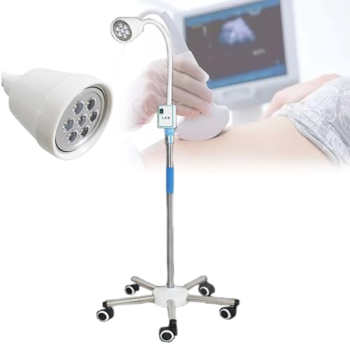 Lampe d'examen chirurgical auxiliaire LED sur pied flexible