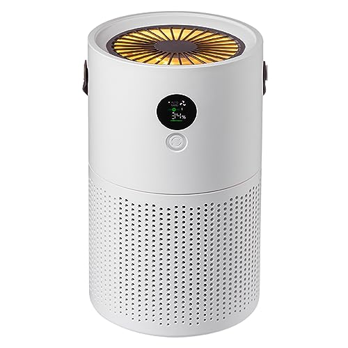 Air Purifier, Portable Air Purifier, HEPA Air Purifier with 4 Modes, H13 HEPA Filter, Air Quality Check, LED Screen, 99.97% Air Clean, Quiet Sound, Type-C Plug, Up to 323 sq.ft(30m²), Filter Replace.