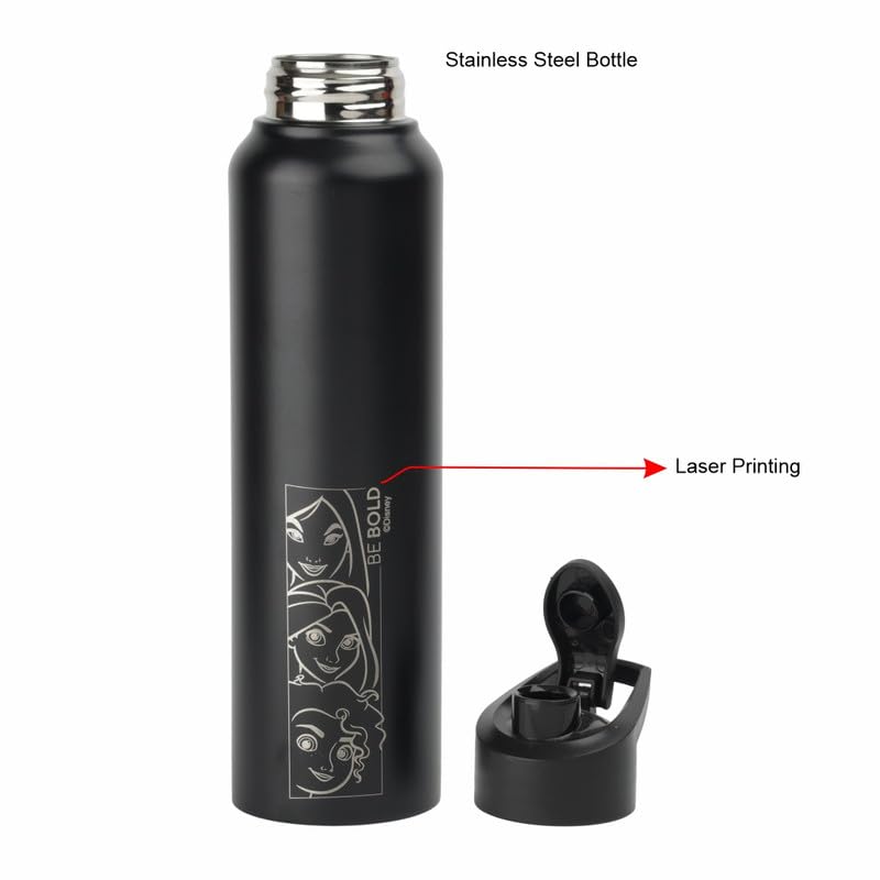 Image of SKI Sprint Stainless Steel Sipper Water Bottle with Laser Print, for School, Office, Gym, Home, Travel | AdultS &Teens | 950 ML, Leakproof, Rust free | Character Merchandise PRINCESS