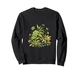 Cannabis Buds Marijuana Ganja Smoker
