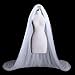Soft Tulle Wedding Veil for Bride Lady 2 Layers 3 Meters Long Cathedral Chapel Floor Veils Embroidered Lace Trim Hair Side Comb (White)