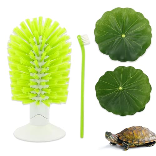 2 Pcs Turtle Brush with Suction Cups 2 Large Decorative Duckweed Turtle Tank Accessories Not Easy to Peel Shell Exfoliating Back Scrub Cleaning Brush (Green)