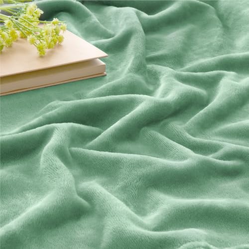 Image of BEDELITE Fleece Blanket Dusty Green Throw Blankets for Couch & Bed, Luxury Plush Cozy Fuzzy Blanket 50 inch x 60 inch, Super Soft Warm Lightweight Throw Blanket for Travel Camping