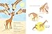 Not a Spot to Spot: The True Story of Kipekee, the Giraffe Born without Spots