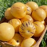 40 piezas Semillas de pera melón, Melón Pepino, planta de interior de árboles frutales columnares Semillas de melón pera plantas de balcón de fruta fresca resistentes fruta fresco