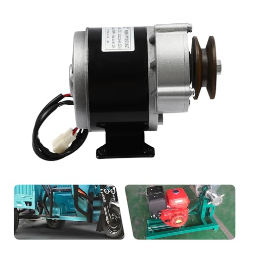 DC 12V 250W Gear Reduction Motor, My1016Z Brushed Electric Motor for Scooters, e-Bikes, Electric Cars, Tricycles, Scooters