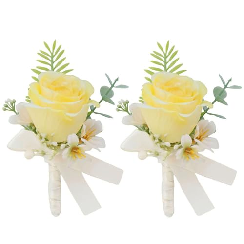 SUNCN Y u[gjG[ RT[W 2ZbgAԖtYlAAvAp[eB[AZj[ALOAtH[}fBi[At[ANZT[AX[cfR[V - CG[ B