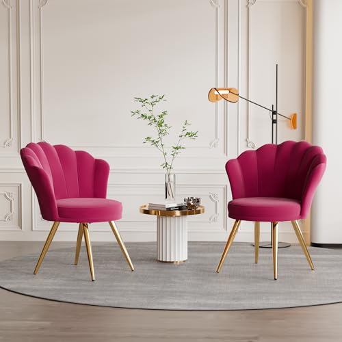 Aivermeil Esszimmerstühle Samt • Muschelsessel mit Rückenlehne & Armlehnen • Schminktisch Stuhl • Polstersessel Elegant • Akzentstuhl mit Gold Metallbeinen Accent Chair • Rot x 2