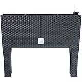 Brand: Prosperplast Prosperplast Zanvic Rato Jardinera Antracita ZA703, 60 cm