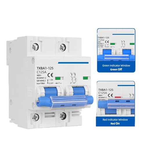 Mini disyuntor de 10KA contra cortocircuitos con interruptor magnetotérmico 2P 100A automático 2