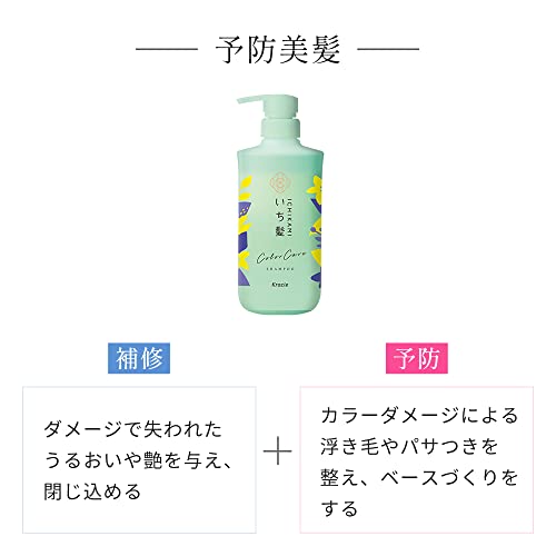 Ichikami Color Care & Base Treatment in Shampoo Pump, 16.2 fl oz (480 ml), Fade Resistant, Damage Care, Non-Silicone - Image 4