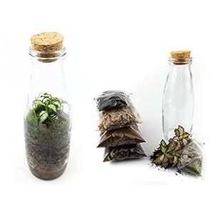 Doe-het-zelf gesloten terrarium kit 21 cm | Met potjes / planten