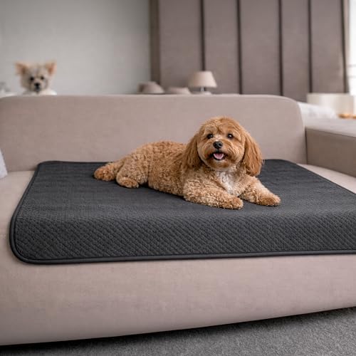 Dreamzie Manta Perro Impermeabile 80x100cm - Manta para Perros Reversible y Lavable a máquina – Suave Forro Polar para Sofá y Cama - Gris Oscuro