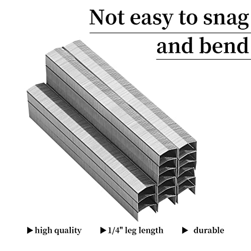 B8 Crown 30,000 Heavy Duty Staples - 1/4 Inch Leg Length for B8 Staplers - Home, School, Office