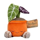 Russ Greenhouse 12-Inch Black Velvet Alocasia...