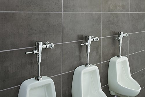 Moen 8312M05 Commercial M-Dura 3/4-Inch Urinal Flush Valve .5 Gpf, Chrome #TOP2