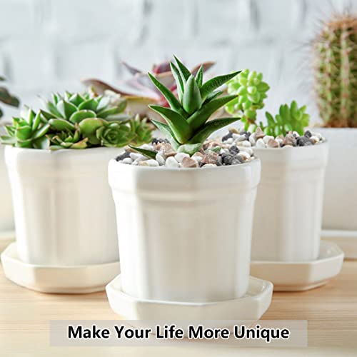 Yiszm 2Lb Succulent And Cactus Gravel Pebbles, 1/5 Inch Natural Decorative Polished Stones, River Rocks For Vases, Aquariums, Terrarium And Outdoor Gardening thumb #4