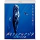 パトリックとクジラ 6000日の絆 [Blu-ray]