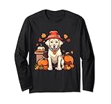 Photo Gallery cane golden retriever del ringraziamento - labrador maglia a manica Photo Gallery cane golden retriever del ringraziamento - labrador maglia a manica