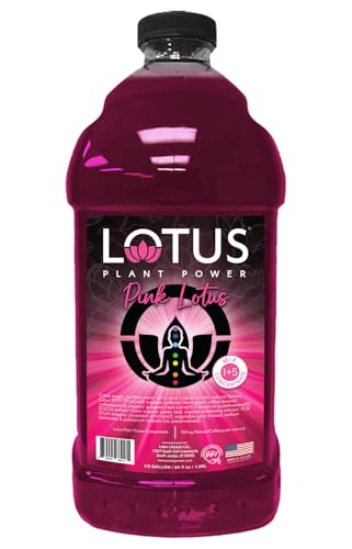 Pink Lotus Plant Energy Drink Concentrate | Pure Cane Sugar | 64 fl oz | 1:5 | Natural Caffeine from Green Coffee Bean