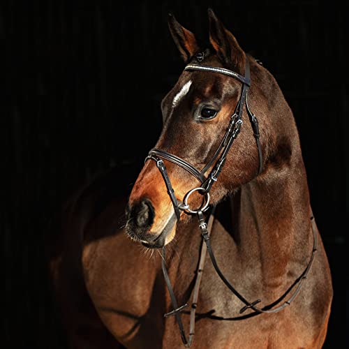 HORZE Weston Padded Leather Horse Snaffle Bridle with Flash Noseband ...