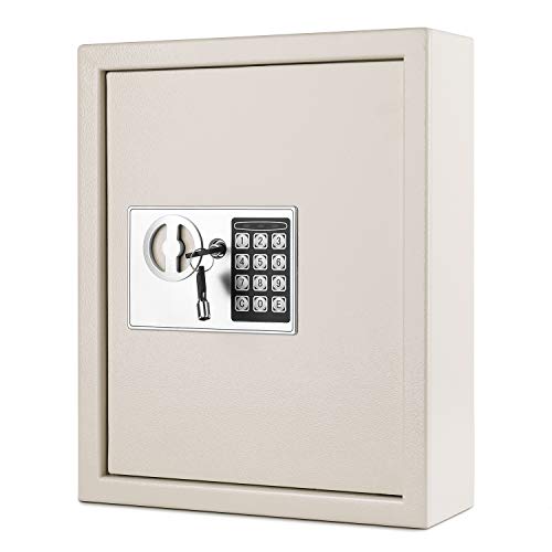 Flexzion Key Cabinet: Secure Your Keys with a Wall-Mounted Digital Lock Box
