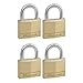 Master Lock 150EURQNOP Confezione da 4 Lucchetti con Chiavi in Ottone, Oro, 6.8 x 5 x 1.4 cm